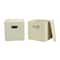 Household Essentials Storage Bins with Lids, 2ct.